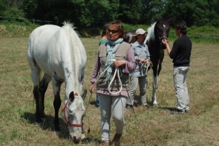 Cavallo e cavaliere durante un'escursione 